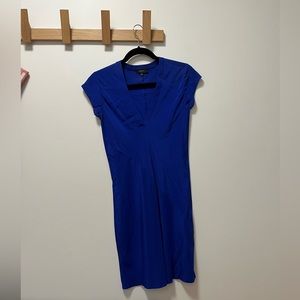 Aritzia Babaton Silk Dress